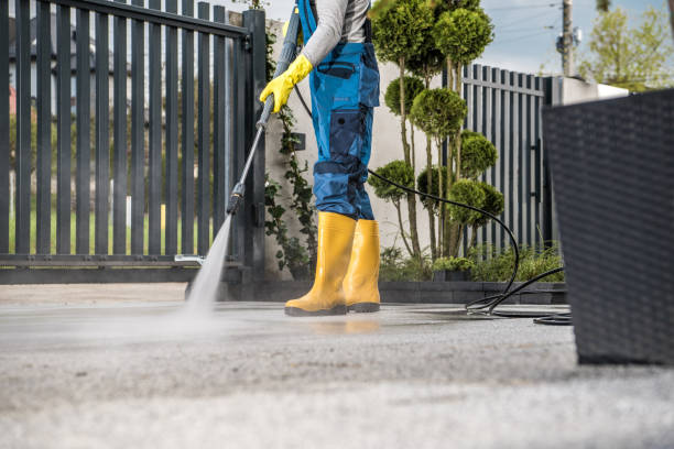 Best Fence Pressure Washing  in Dash Point, WA