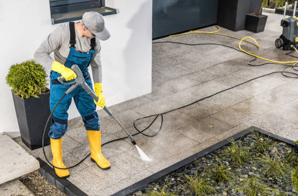 Best Affordable Power Washing  in Dash Point, WA