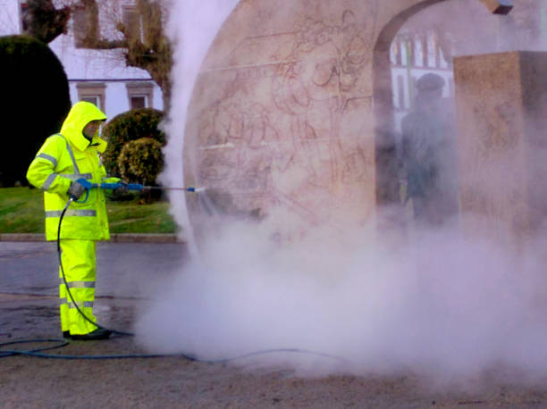 Best Power Washing Near Me  in Dash Point, WA