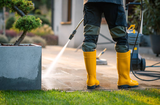 Best Affordable Pressure Washing  in Dash Point, WA